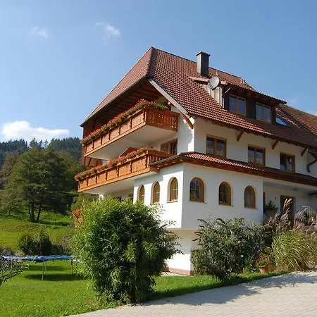 Wehrlemartinshof Apartment Simonswald Exterior photo